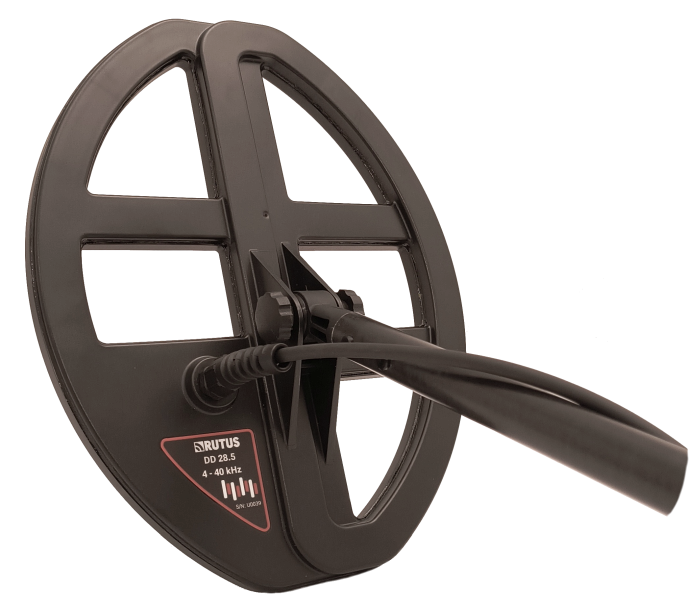 zdjęcie-1322